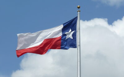 Texas state flag