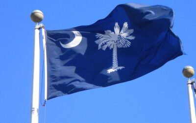 south carolina flag