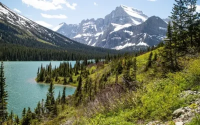 Montana bah rates 2025