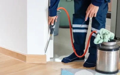 VA Termite Inspections