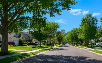 American suburban neighborhood street with homes